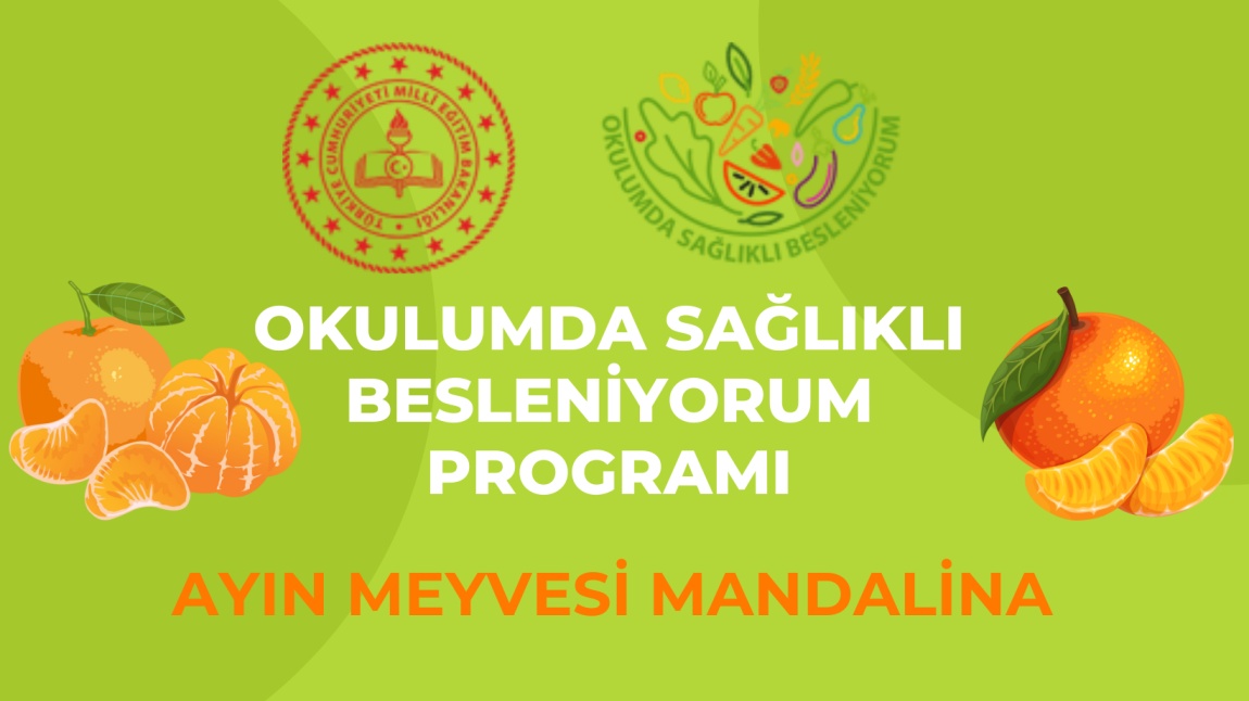 Ayın Meyvesi Mandalina